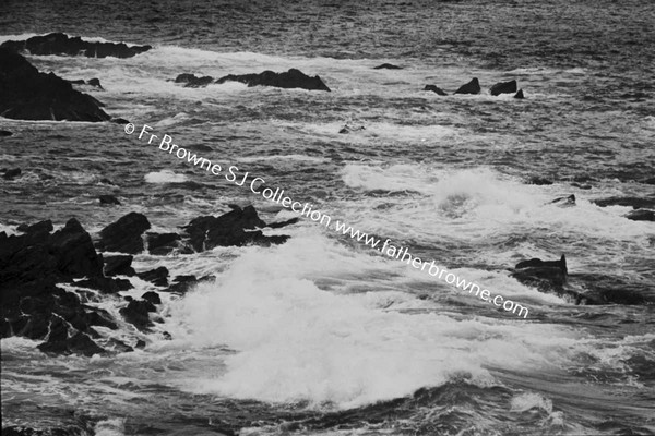 WILD COASTAL SCENES ON ATLANTIC DRIVE